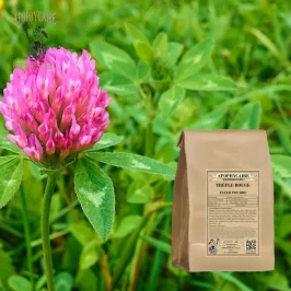 Polvo de flor de trébol rojo (Trifolium pratense) - Apophycaire