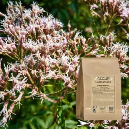 Raíz de valeriana cortada (Valeriana officinalis) - Boticario