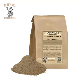 Valerian Wallichii root powder – Valeriana wallichii | Apophycaire