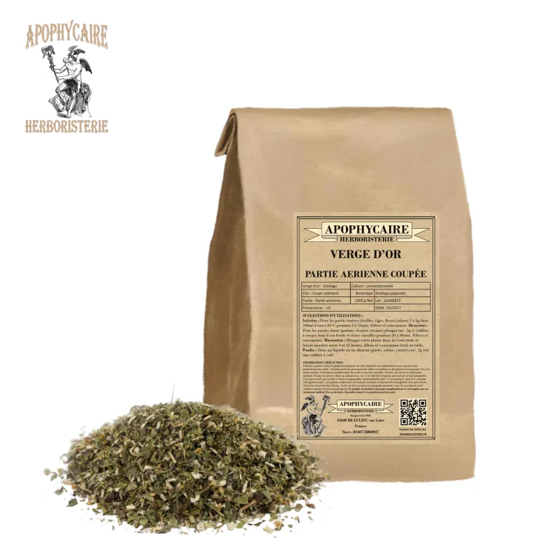 Geschnittene Goldrute (Solidago gigantea) - Apophycaire