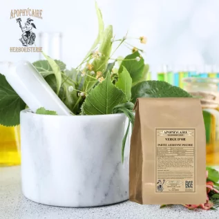 Polvo de vara de oro (Solidago gigantea) - Apophycaire