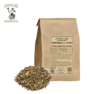 Alpine Speedwell, aerial part cut – Veronica alpina | Apothecary