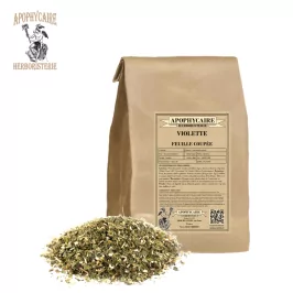 Cut-leaf violet – Viola odorata | Apothecary