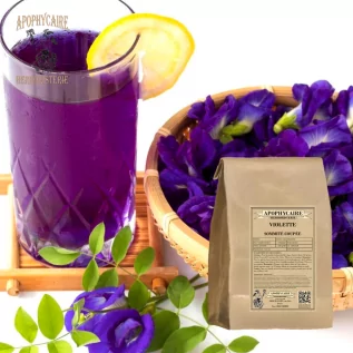 Violet cut top – Viola odorata | Apophycaire