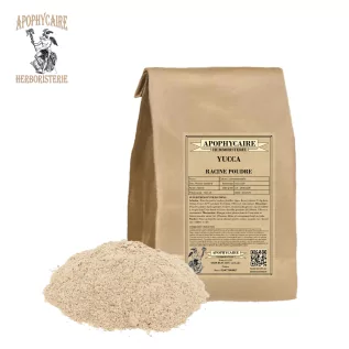 Yucca root powder – Yucca spp | Apothecary