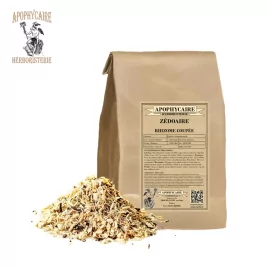 Zedoary rhizome cut – Curcuma zedoaria | Apophycaire