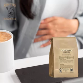 Zedoary rhizome cut (Curcuma zedoaria) - Apophycaire