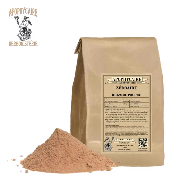Zedoary rhizome powder (Curcuma zedoaria) - Apophycaire Zedoary rhizome powder (Curcuma zedoaria) - Apophycaire