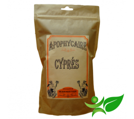 CYPRES, Cône (Cupressus sempervirens) - Apophycaire