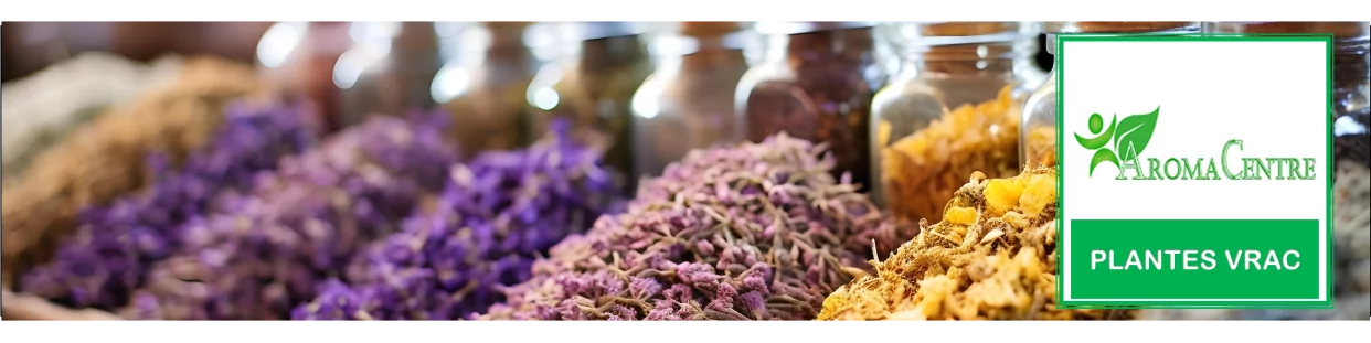Plantas a granel: medicinales, aromáticas y más | Aromacentre.fr