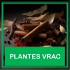 Plantas sueltas