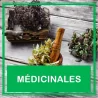 Plantes médicinales