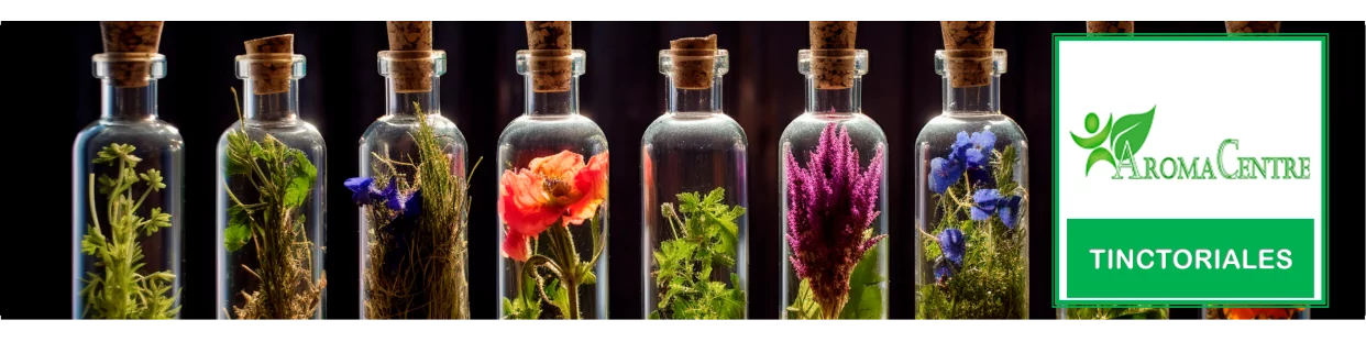 Dye Plants - Natural Dyes and Vegetable Colors | Aromacentre.fr