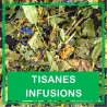 Tisanes et Infusions
