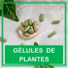 Gélules de plantes