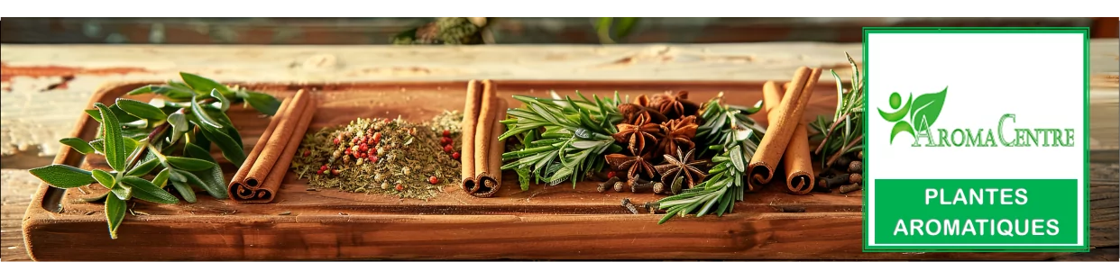 Plantas aromáticas y especias - Apophycary - Aromacentre.fr