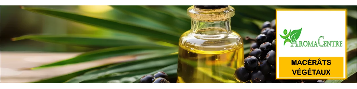 Ölige Pflanzenmazerate: Naturschätze für einzigartiges Wohlbefinden